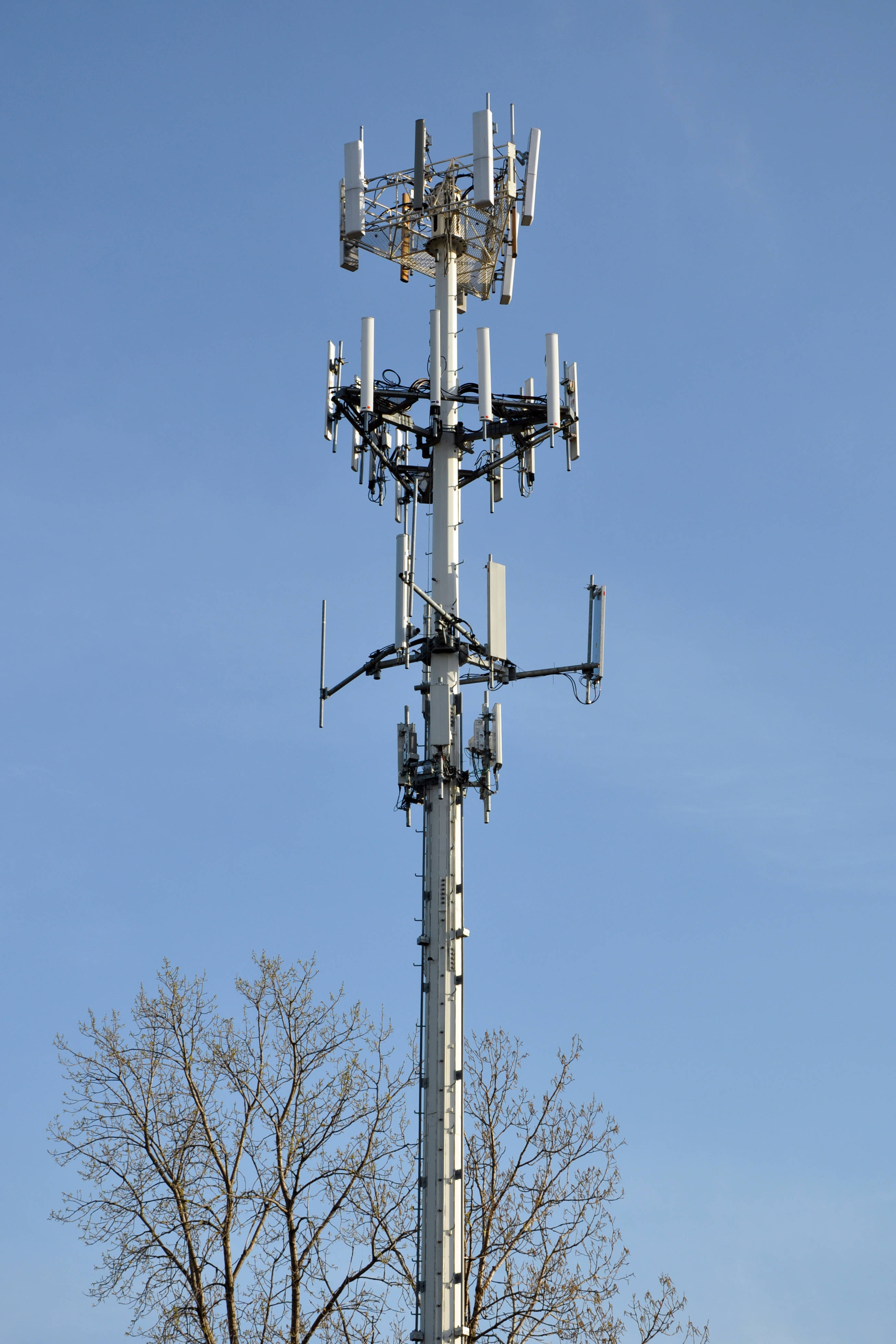 Long-Term Telecom Site Maintenance